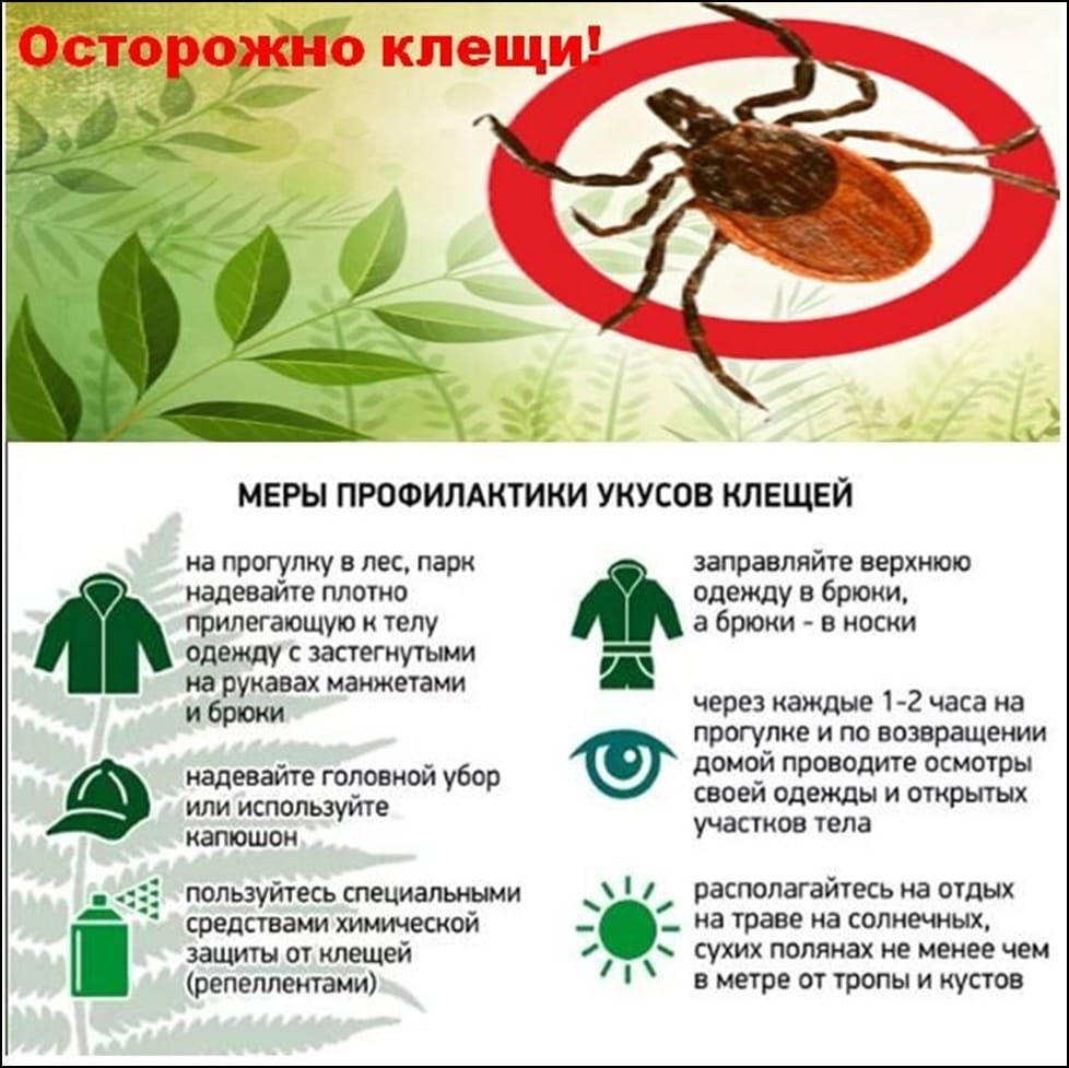 ostorozhno-kleshchi_17163591461525882128__2000x2000.jpg